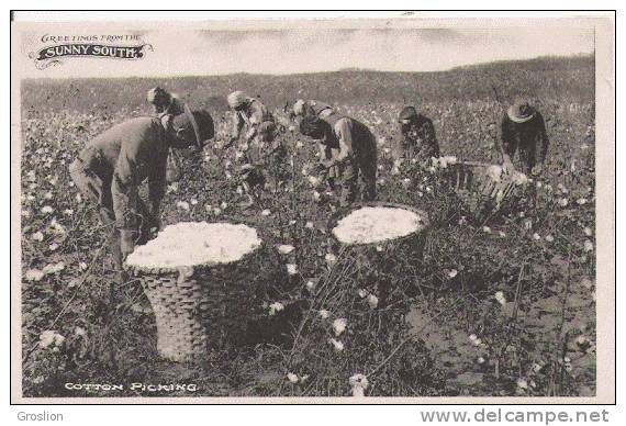 GREETINGS FROM THE SUNNY SOUTH COTTON PICKING (BELLE ANIMATION) 1909 - Autres & Non Classés