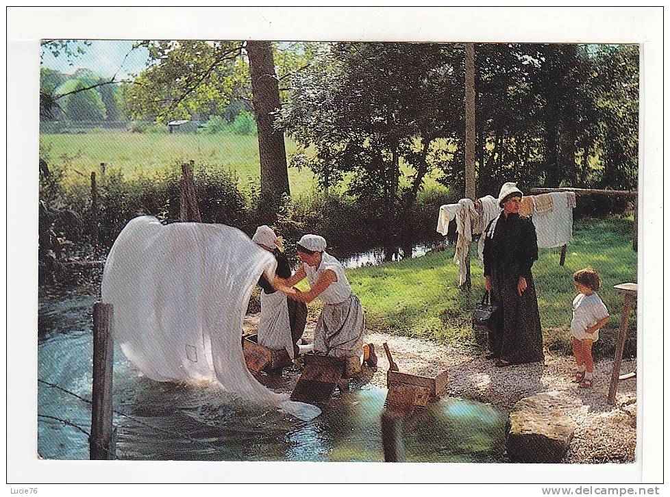 Folklore  CHARENTAIS  -  LAVANDIERES En Costume Traditionnel  - N°   541 - Poitou-Charentes