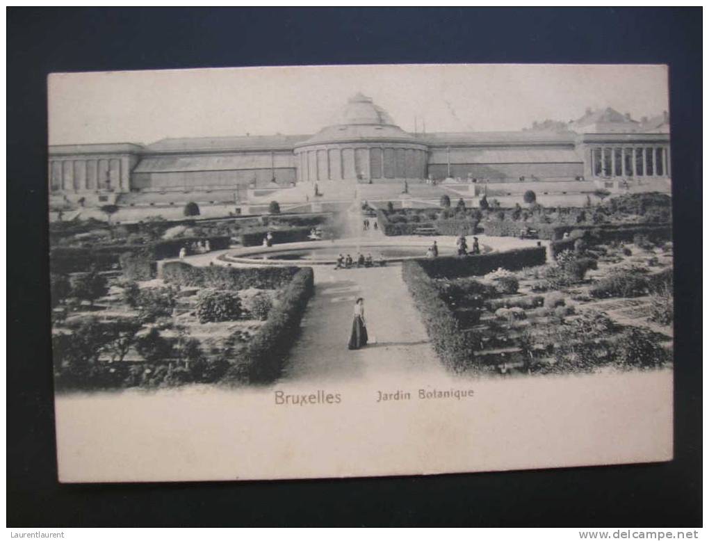 Jardin Botanique - 1908 - Parks, Gärten