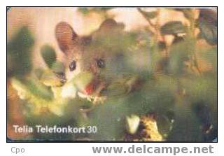 # SWEDEN 60111-224 Mouse 30 Orga 02.97 -animal,mouse,souris- Tres Bon Etat - Suède