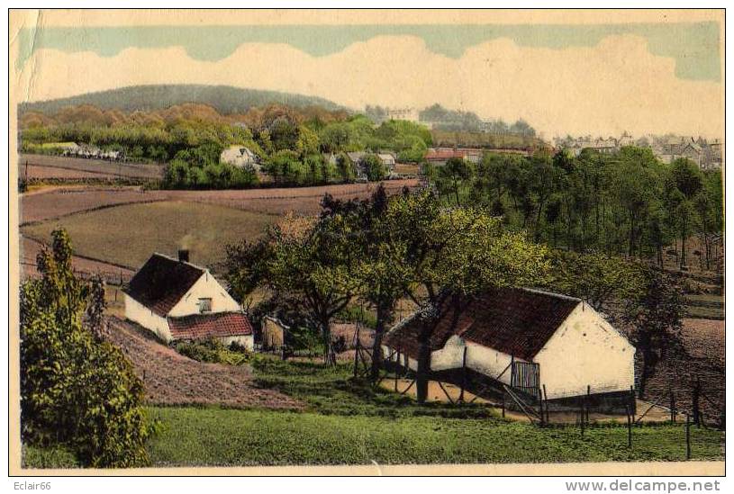 MONT DE L'ENCLUS- PANORAMA-ALGEMEEN ZICHT - Mont-de-l'Enclus