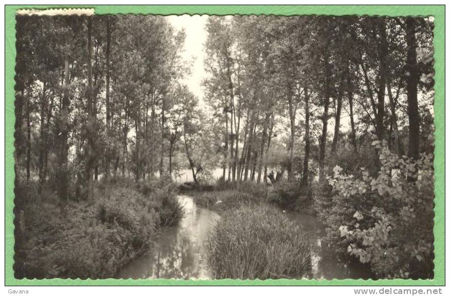 10 Ervy-le-Chatel - Les Bords De L'Armance - Ervy-le-Chatel