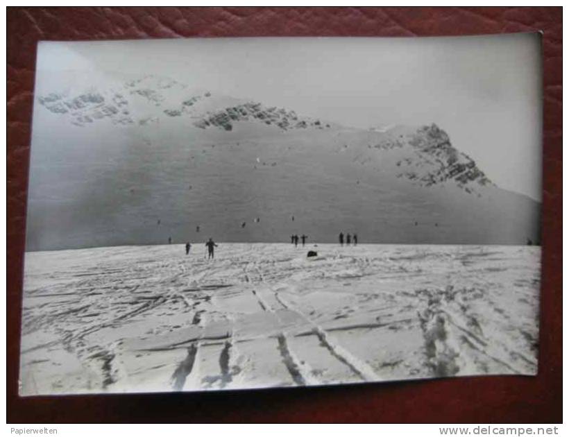 Zugspitze - Pressefoto Schneefernerkopf (keine AK!!) - Zugspitze