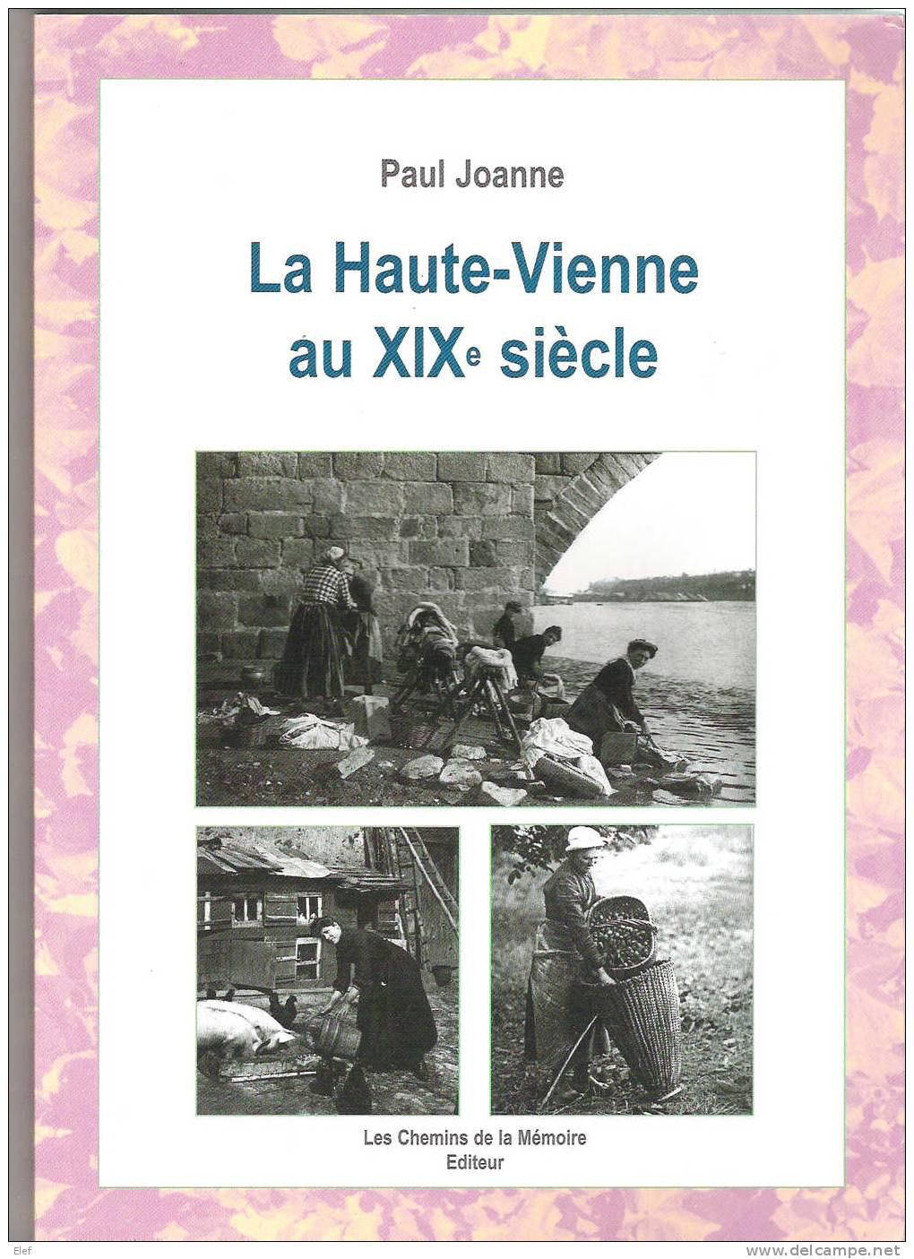 Livre" LA HAUTE-VIENNE Au XIX E Siècle ",Paul Joanne;Histoire+Dictionnaire Communes;Cartes Postales,Photos.etc;123 P,SUP - Boeken & Catalogi