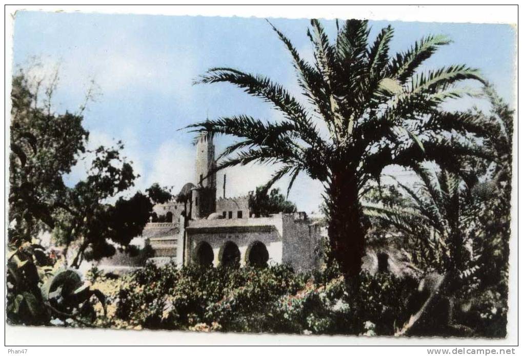 ALGERIE, COLOMB-BECHAR (Saoura) Un Coin Du Jardin Public, Minaret, Palmiers - Bechar (Colomb Béchar)