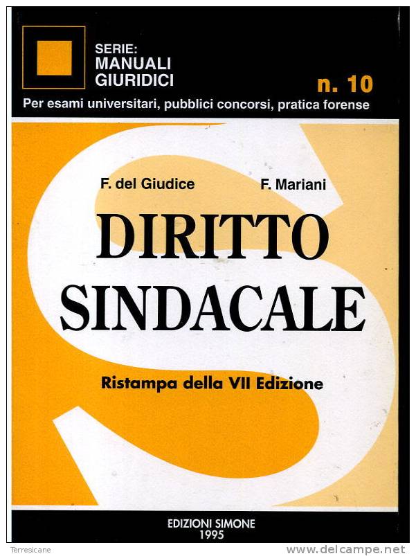 X 3F F. DEL GIUDICE - F. MARIANI DIRITTO SINDACALE EDIZIONI SIMONE 1995 - Droit Et économie