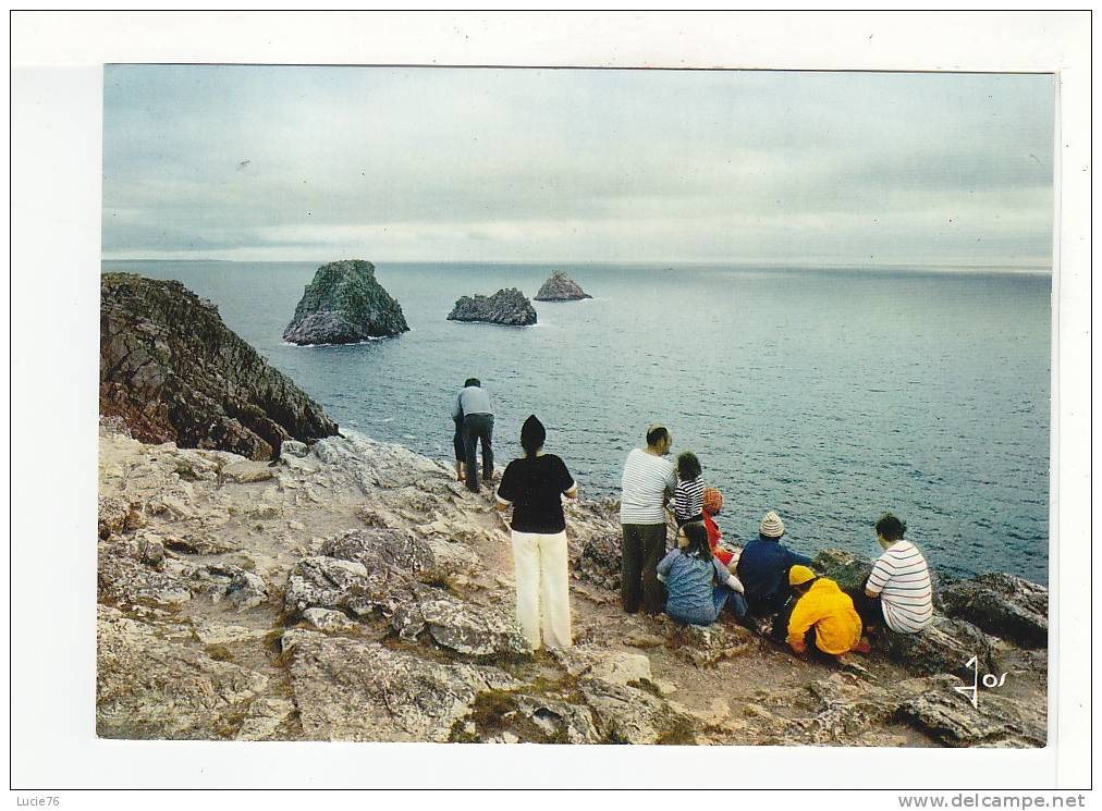 PRESQU ILE DE CROZON  -  Visite à La Pointe De PEN HIR  -  N°  MX  6311 - Crozon