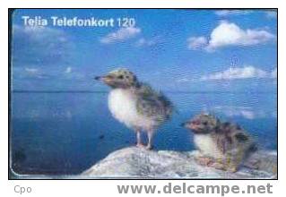 # SWEDEN 60114-36 Birds 120 Orga 07.97 -oiseaux,birds- Tres Bon Etat -birds,oiseaux- - Zweden