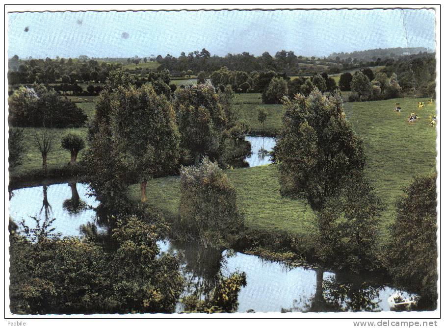 Carte Postale 59. Avesnes-sur-Elpe Vaches En Paturage Trés Beau Plan - Avesnes Sur Helpe