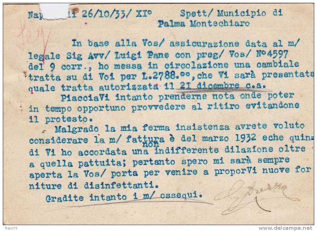 NAPOLI  26.10.1933 - Card Cartolina - " DISINFETTANTI Giuseppe Dozza "   Firma - Publicité