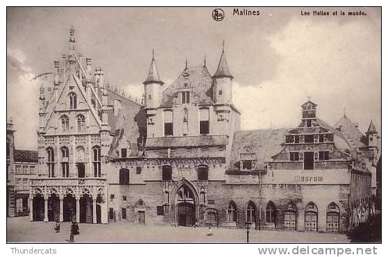 MECHELEN MALINES LES HALLES ET LE MUSEE - Mechelen