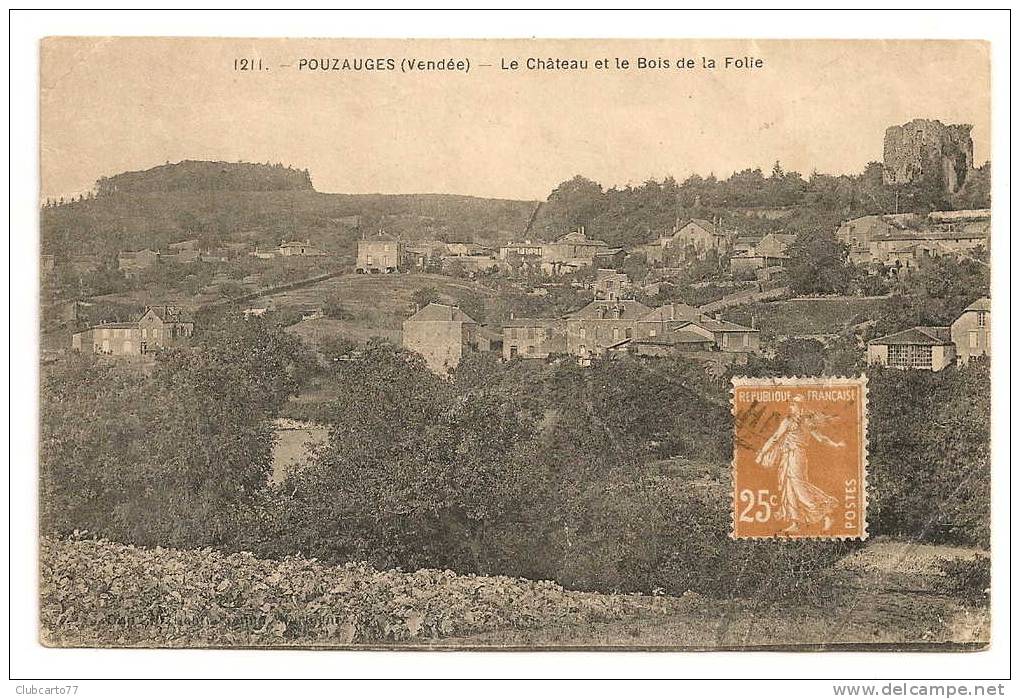 Pouzaugues (85) : Vue Générale Sur Le Bois De La Folie Et Le Château Environ 1930. - Pouzauges