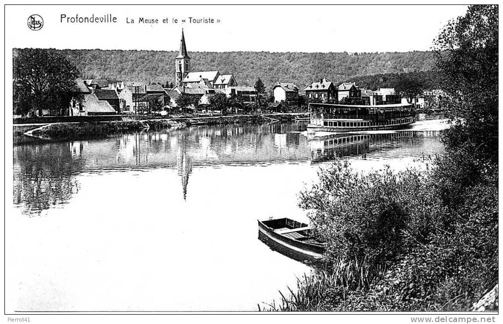 PROFONDEVILLE - La Meuse Et Le "Touriste" - Profondeville