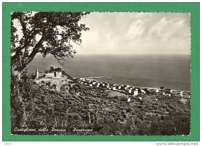 CARTOLINA -CASTIGLION DELLA PESCAIA-PANORAMA - Grosseto