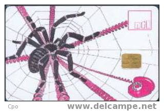 # CZECH NTC3 Spider (New TeleLine / City Card) 500 Gpt 04.94 10000ex -animal,araignee,spider- Tres Bon Etat - Tschechische Rep.