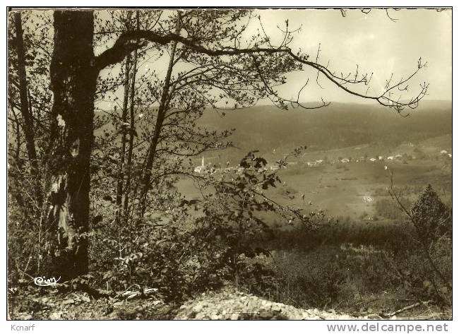 CP De ECHALLON " Vue D'ensemble Prise De La Route De Giron " . - Oyonnax