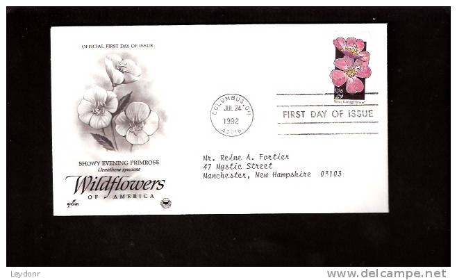 FDC Showy Evening Primrose - Wildflowers Of America  - Scott # 2671 - 1991-2000