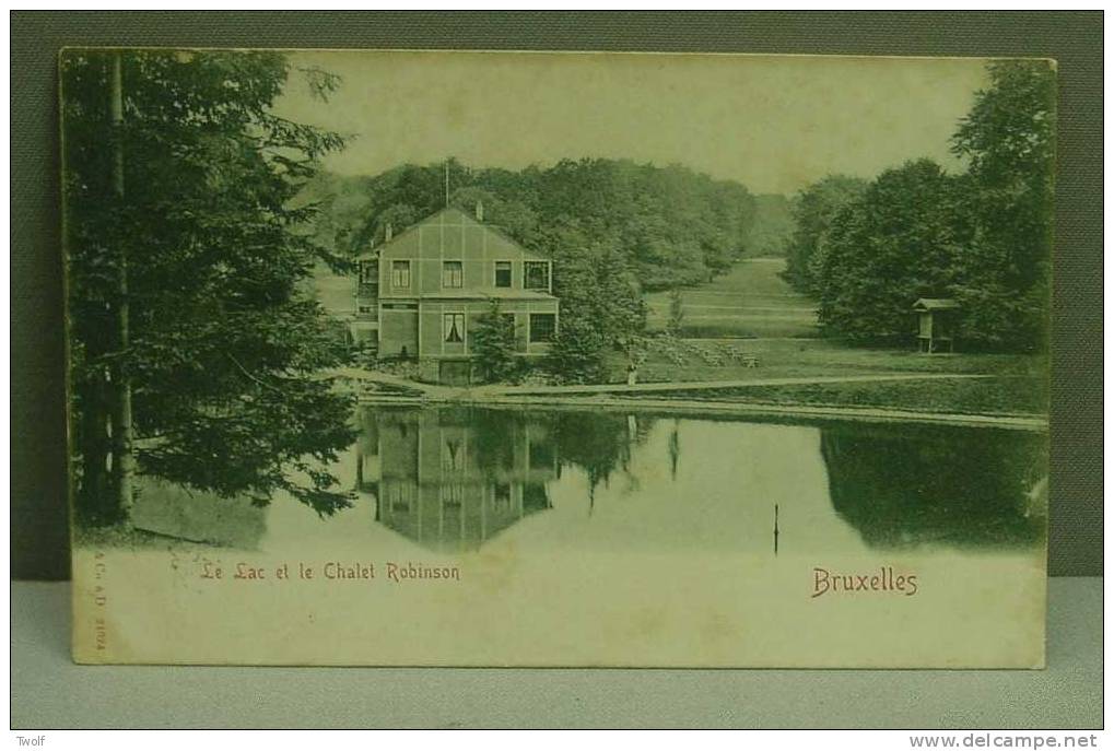 Le Lac Et Le Chalet Robinson / Terkameren Bos - Meer En Chalet Robinson/ St. & Co à D 21024 - Parks, Gärten
