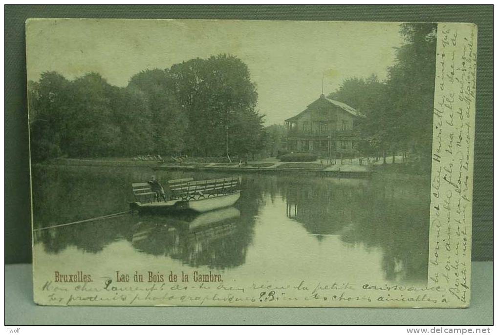 Bruxelles -  Lac Du Bois De La Cambre / Brussel - Meer Van Terkameren Bos - Forêts, Parcs, Jardins