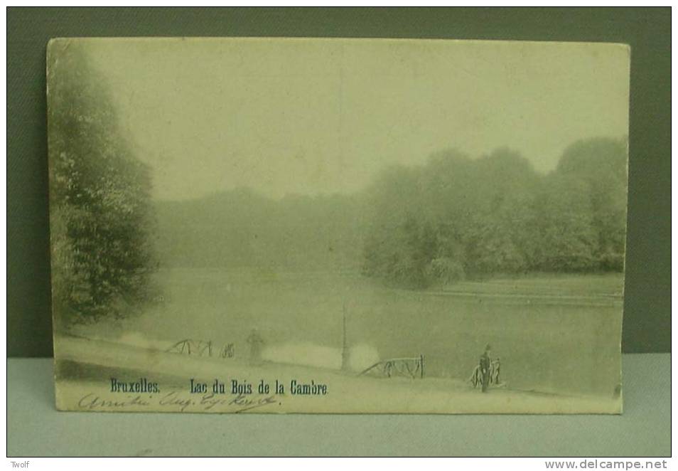 Bruxelles -  Lac Du Bois De La Cambre / Brussel - Meer Van Terkameren Bos - Forêts, Parcs, Jardins