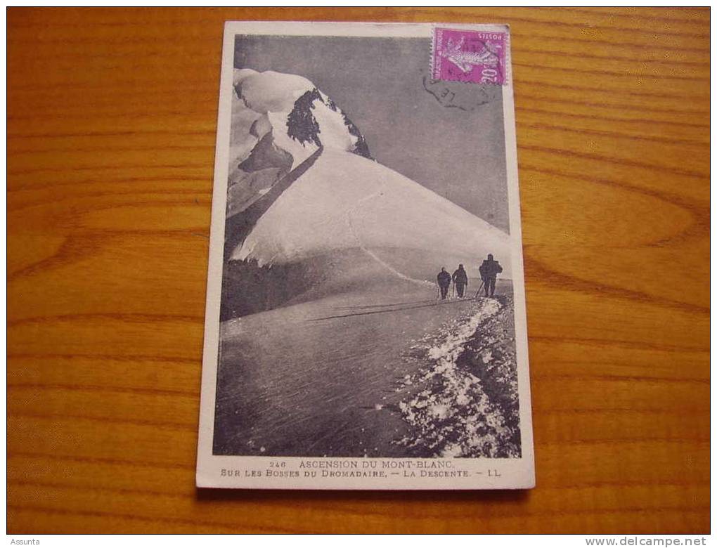 Ascension Du Mont Blanc Sur Les Bosses Du Dromadaire . La Descente - Alpinisme