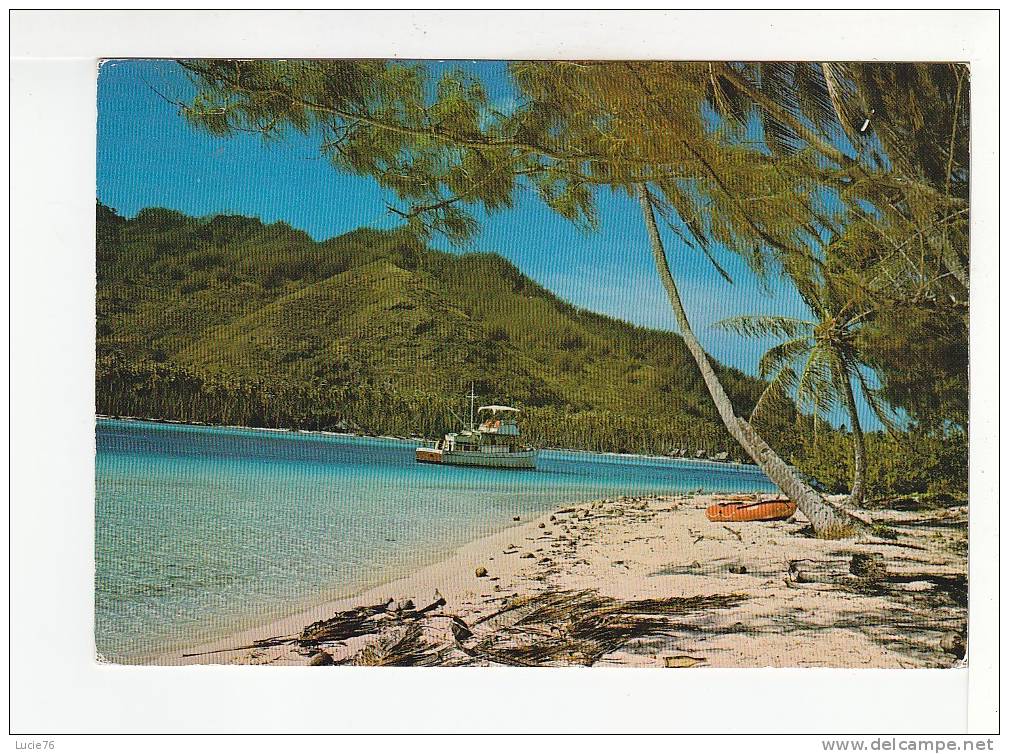 MOOREA -  Island Playground CLUB MEDITERRANEE -  N°  115 - Polynésie Française