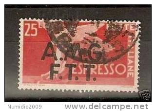 1947-48 TRIESTE USATO ESPRESSO 25 LIRE - RR1149 - Express Mail