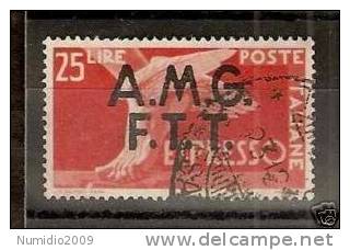 1947-48 TRIESTE USATO ESPRESSO 25 LIRE - RR1149-3 - Express Mail