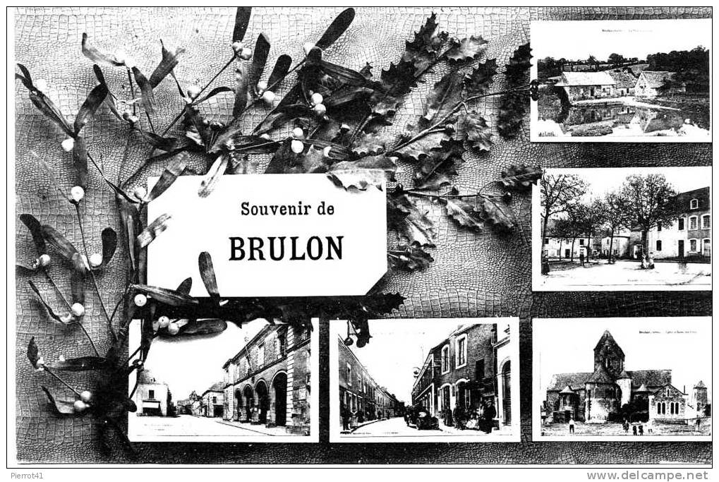 Souvenir De BRULON - Brulon