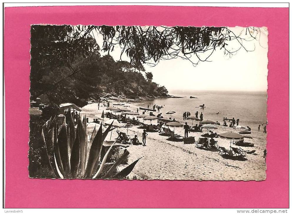 LE RAYOL / N° G 66 . LA PLAGE - Rayol-Canadel-sur-Mer