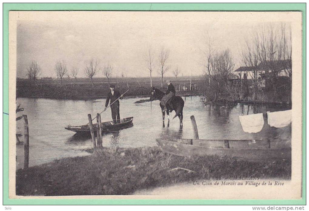 CHALLANS - Un Coin De Marais Au Village De La Rive - Challans