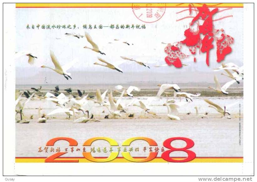 Bird Swans    ,  Prepaid Card , Postal Stationery - Swans