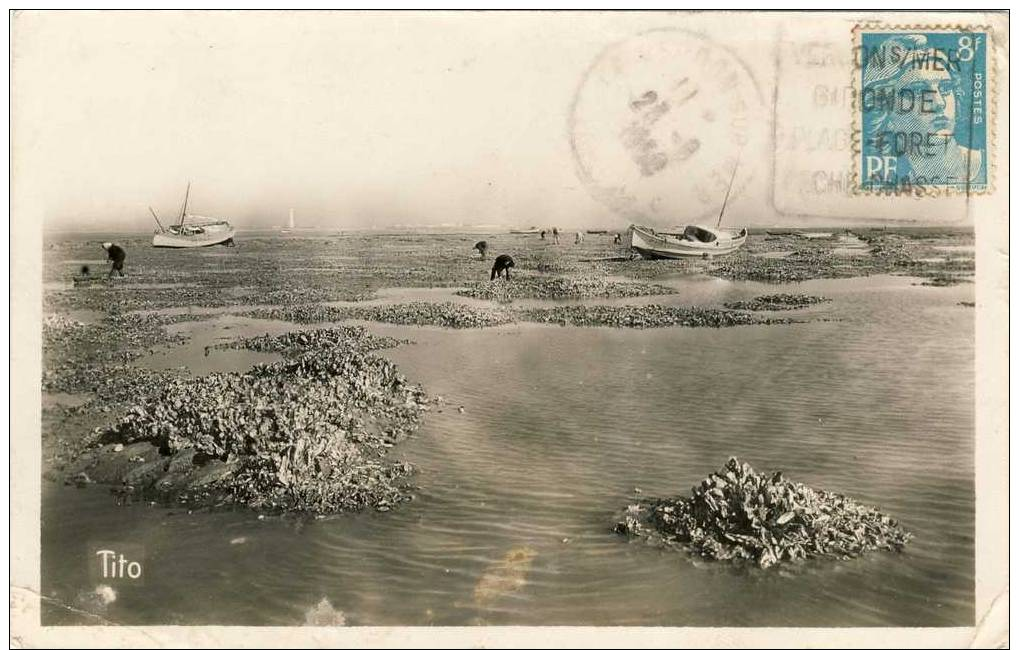 LE VERDON -- Peche Sur Les Bancs Et Rochers D'Huitres  Pli Coin Coin Du Bas  Carte Glacée - Autres & Non Classés