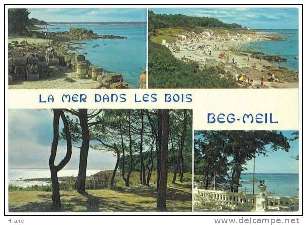 Cpsm 29 BEG MEIL Mer Dans Les Bois Au Port Et Sur Les Dunes Multivue - Beg Meil