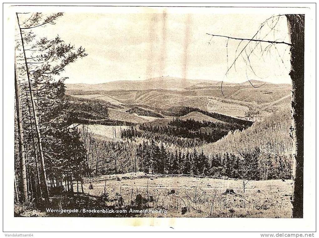 AK 193 Wernigerode / Brockenblick Vom Armeleuteberg 17.6.55 SCHIERKE (HARZ) Heilklinatischer Kurort Wintersportplatz - Wernigerode