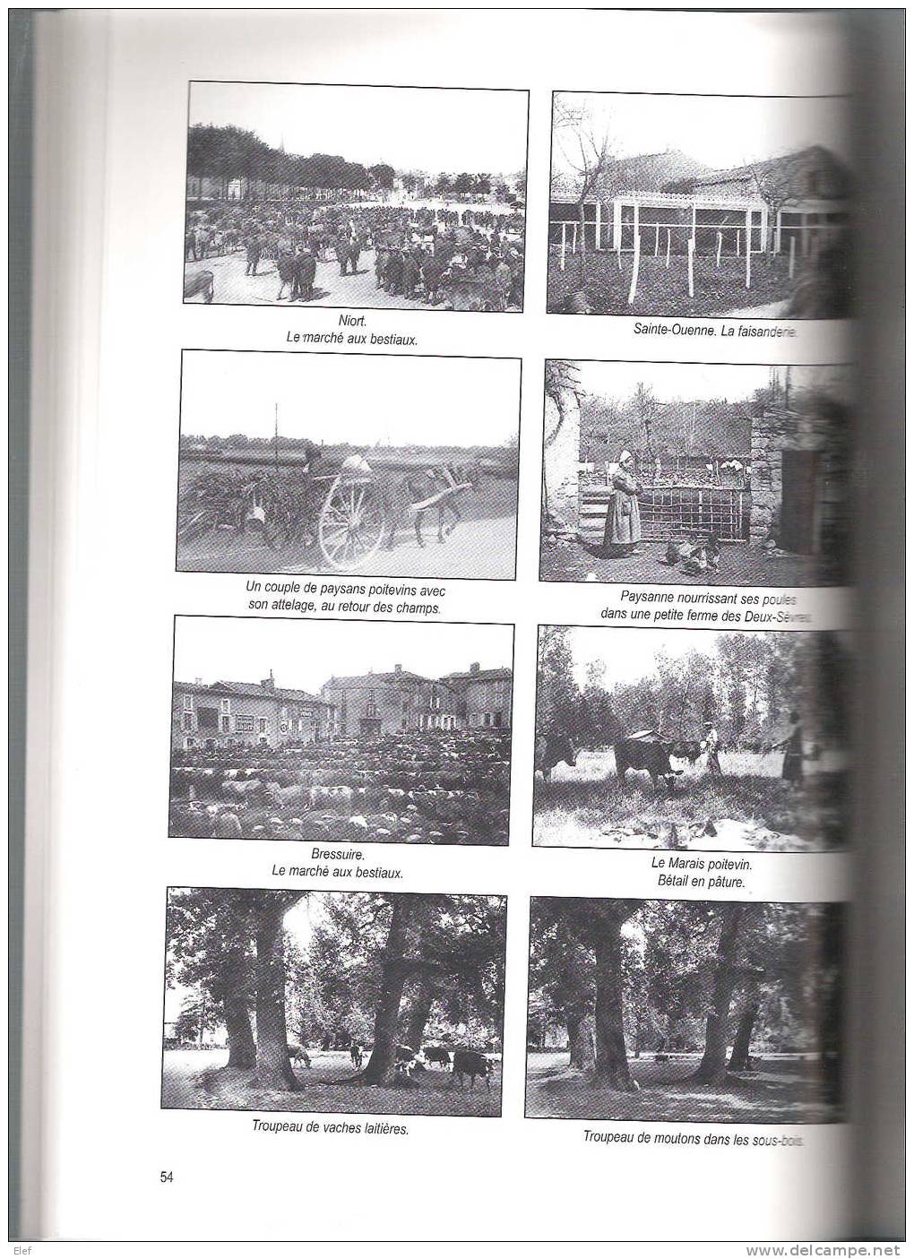 Livre"LES DEUX-SEVRES Au XIX E Siècle"Adolphe Joanne;Histoire+Dictionnaire Communes;Cartes Postales,Photos.etc;144 P,SUP - Boeken & Catalogi
