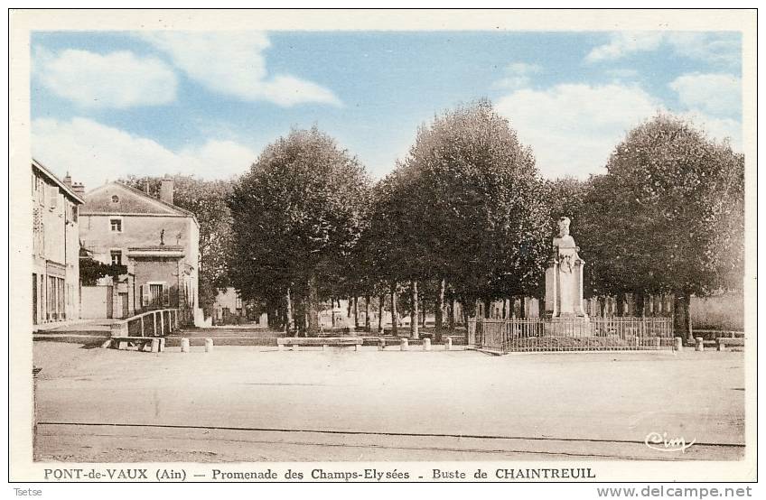 Pont-de-Vaux - Promenade Des Champs-Elysées - Buste De Chaintreuil - Pont-de-Vaux