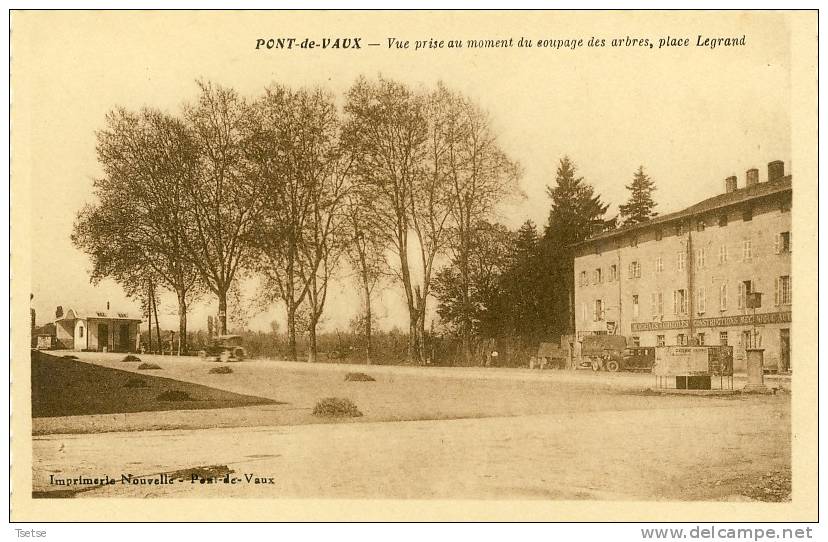 Pont-de-Vaux - Vue Prise Au Moment Du Coupage Des Arbres, Place Legrand - Pont-de-Vaux