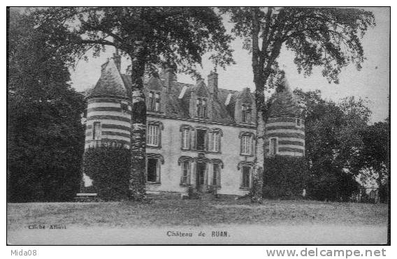 45. RUAN.  LE CHATEAU. - Pithiviers
