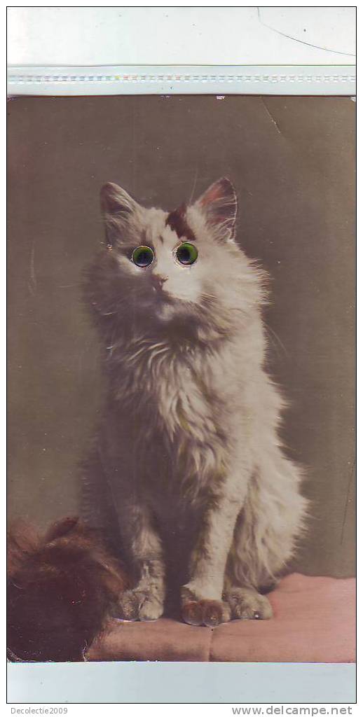 A Cartes Stereoscopiques Cat Chat Wiht Moving Eyes  Used Perfect Shape 1925 England - Stereoscope Cards