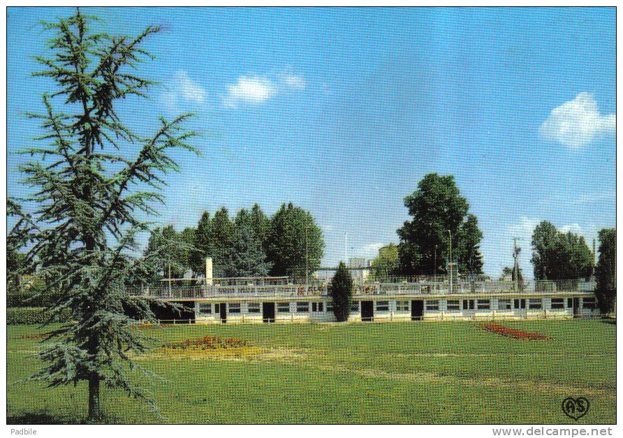 Carte Postale 32.  Vic Fezensac  La Piscine Et Le Jardin Public Trés Beau Plan - Vic-Fezensac