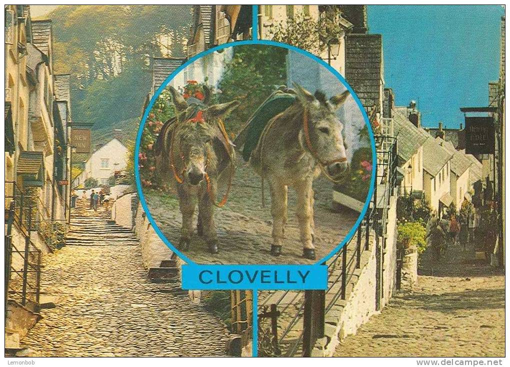 Britain United Kingdom Clovelly Postcard [P1072] - Clovelly