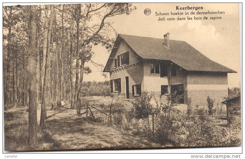 KEERBERGEN-SCHOON HOEKJE IN DE DENNEBOSSCHEN - Keerbergen