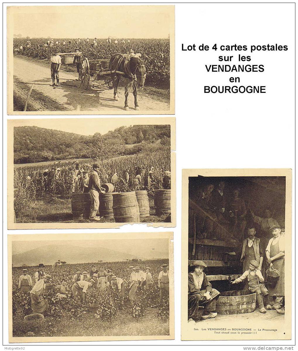 (21, 58, 71, 89) VENDANGES En BOURGOGNE Lot De 4 CP : Cueillette Du Raisin (2) Chargement Des Bennes Pressurage. Sépia. - Bourgogne