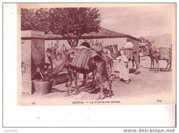 BATNA -  La Fontaine BOCCA - N° 65 - Batna