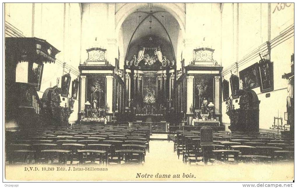 OVERIJSE - Jezus-Eik - Notre Dame Au Bois - Interieur Kerk - Overijse