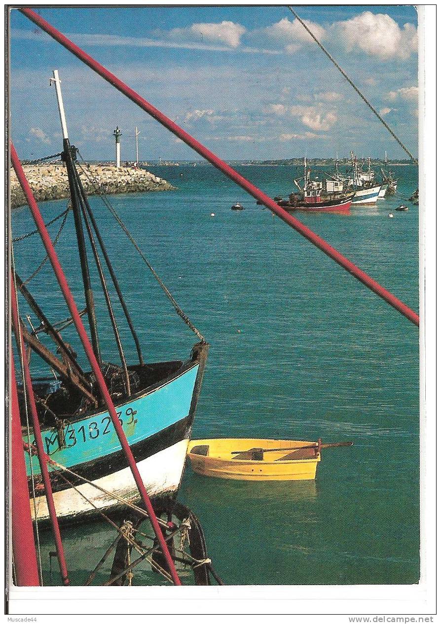 BATEAUX DANS LE PORT - Visvangst