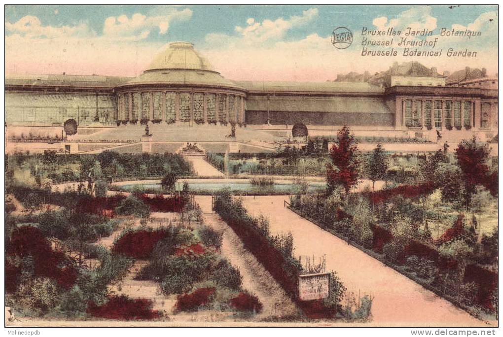 CPA - 1909 - BRUXELLES - JARDIN BOTANIQUE - Forêts, Parcs, Jardins