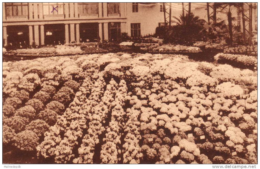 CPA - 1933 - FLORALIES GANTOISES - Gent