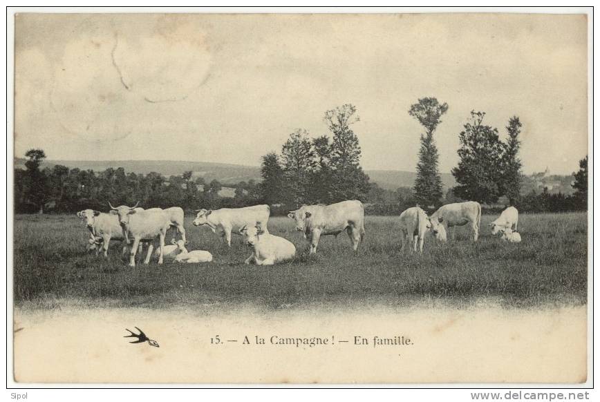 A La Campagne - En Famille - Elevage